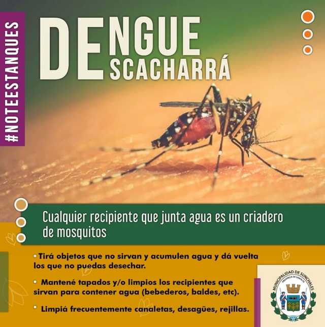 Cecilia Gabiani y los últimos casos sospechosos de dengue en la ciudad