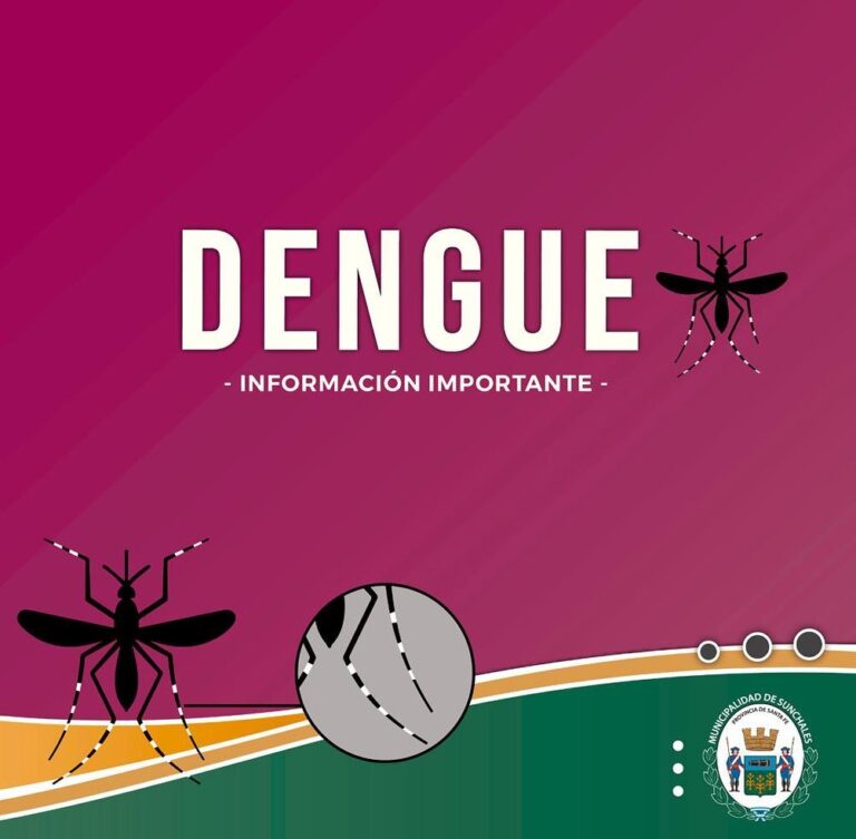 Dengue: La ciudad confirmó el sexto caso