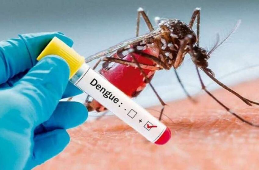  La ciudad tiene su primer caso de dengue