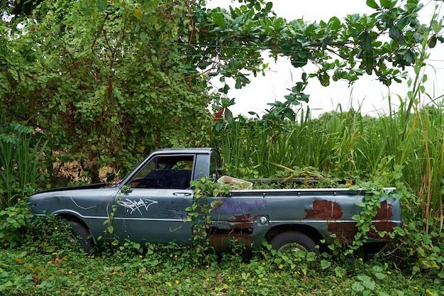 Hallaron una camioneta con pedido de secuestro en un camino rural de la región