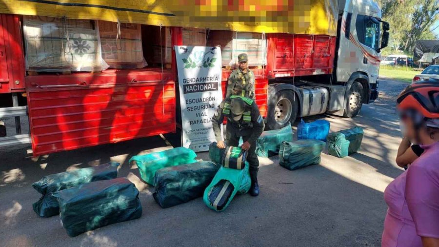  Gendarmería detectó un camión cargado con 290 kilos de hojas de coca en el ingreso norte a Rafaela